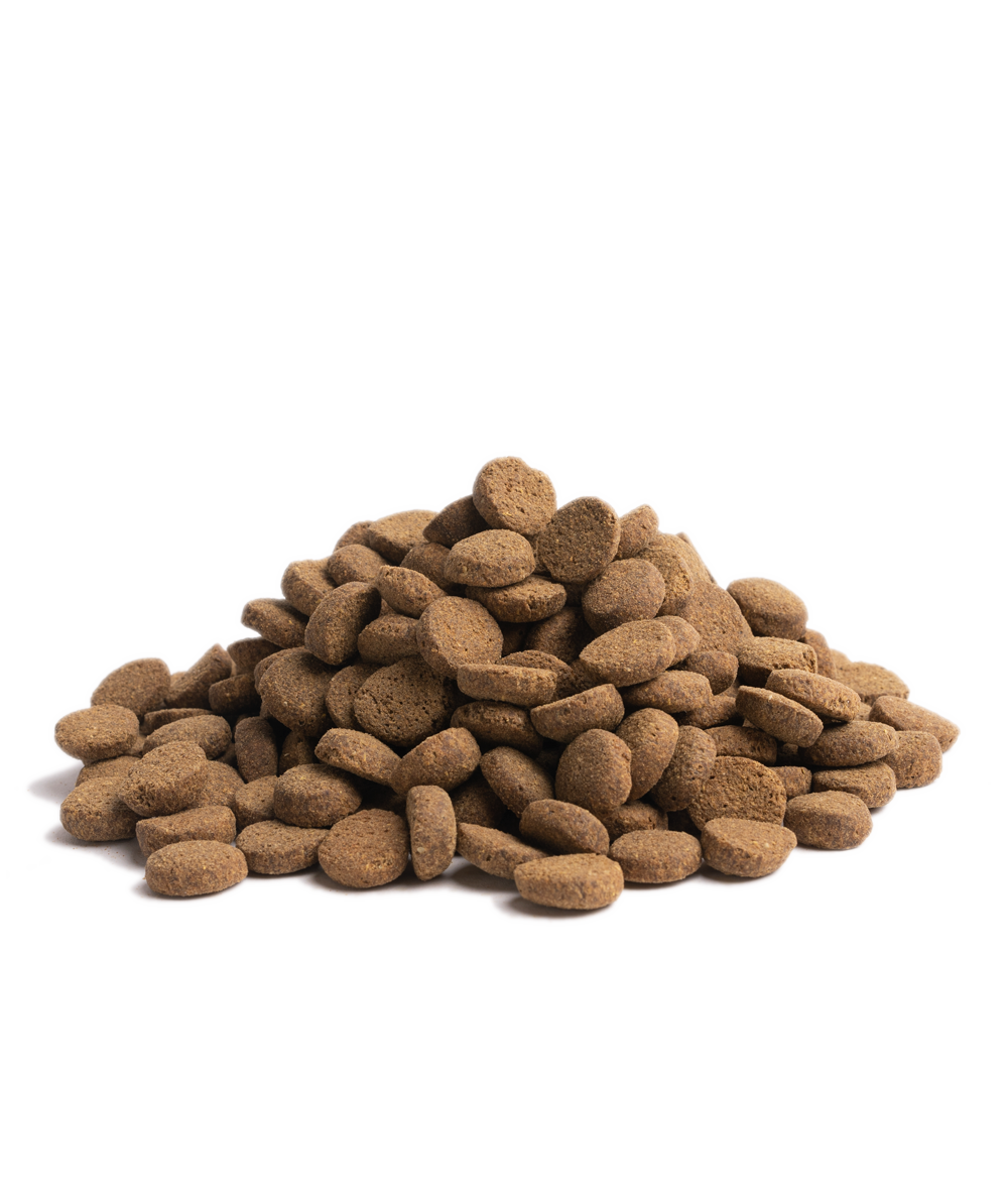 OUR FINEST OLDER, 10KG