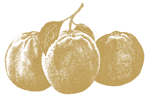 Oranges