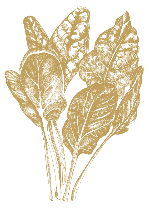 Spinach