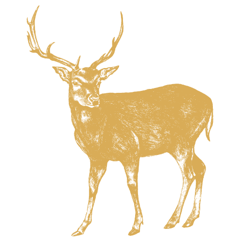 Free-roaming venison