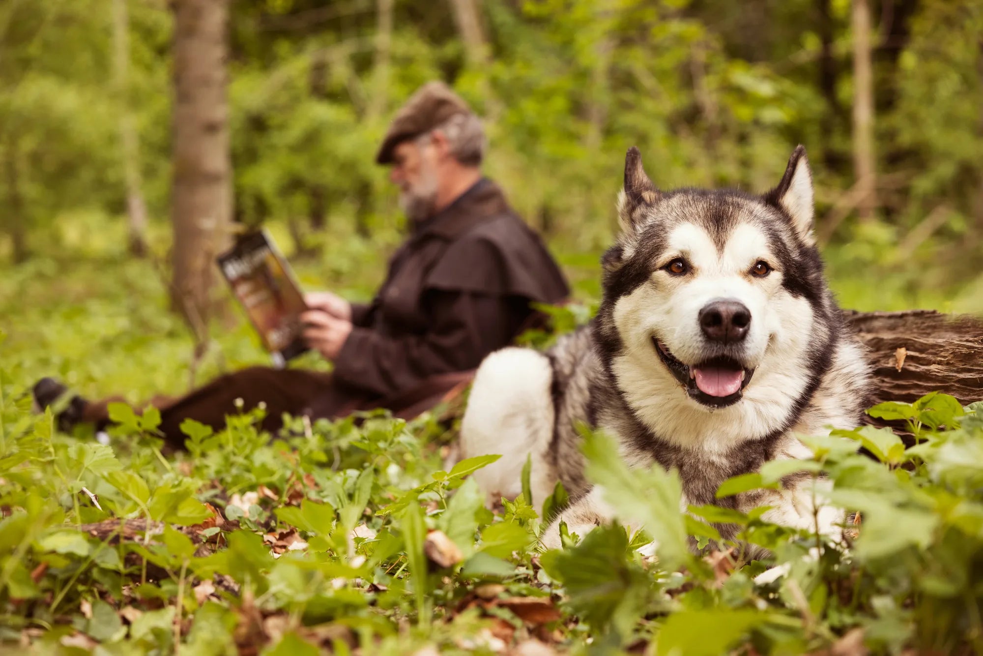 Why is my dog whining?