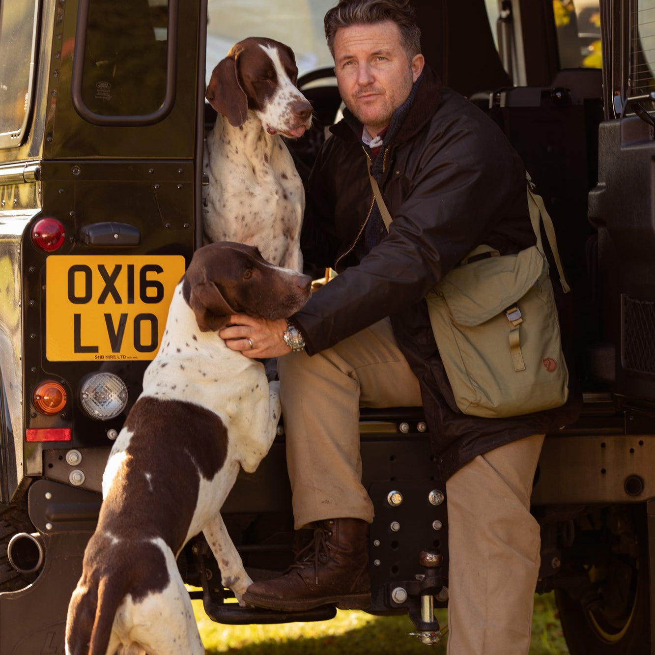 How many dogs are there in Denmark?