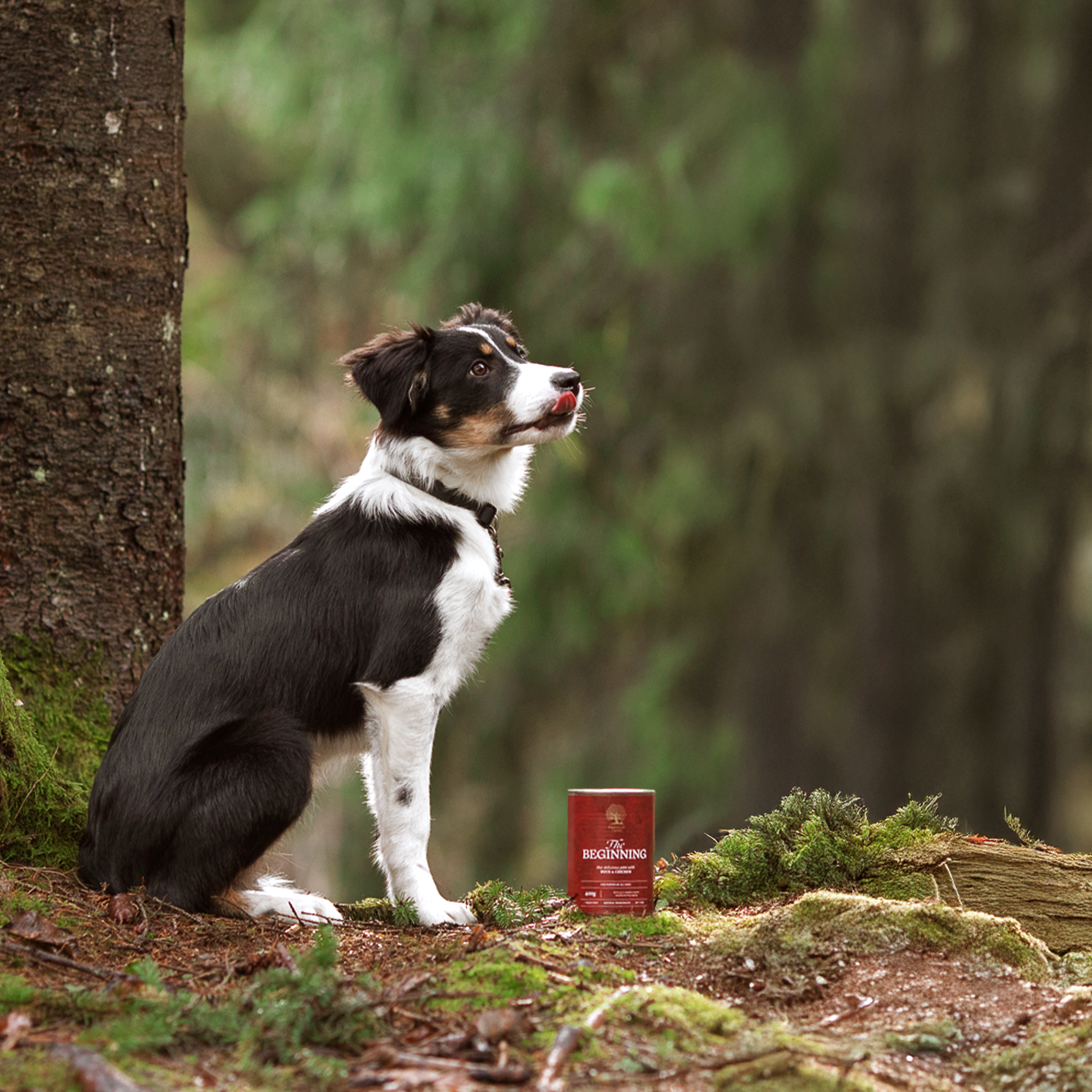 THE BEGINNING PÂTÉ, 400G