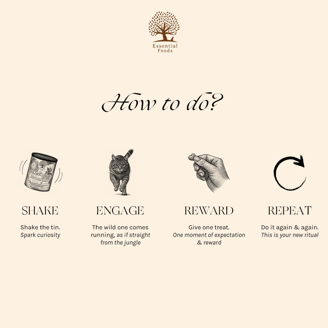 THE GOLDEN GHOST x 3