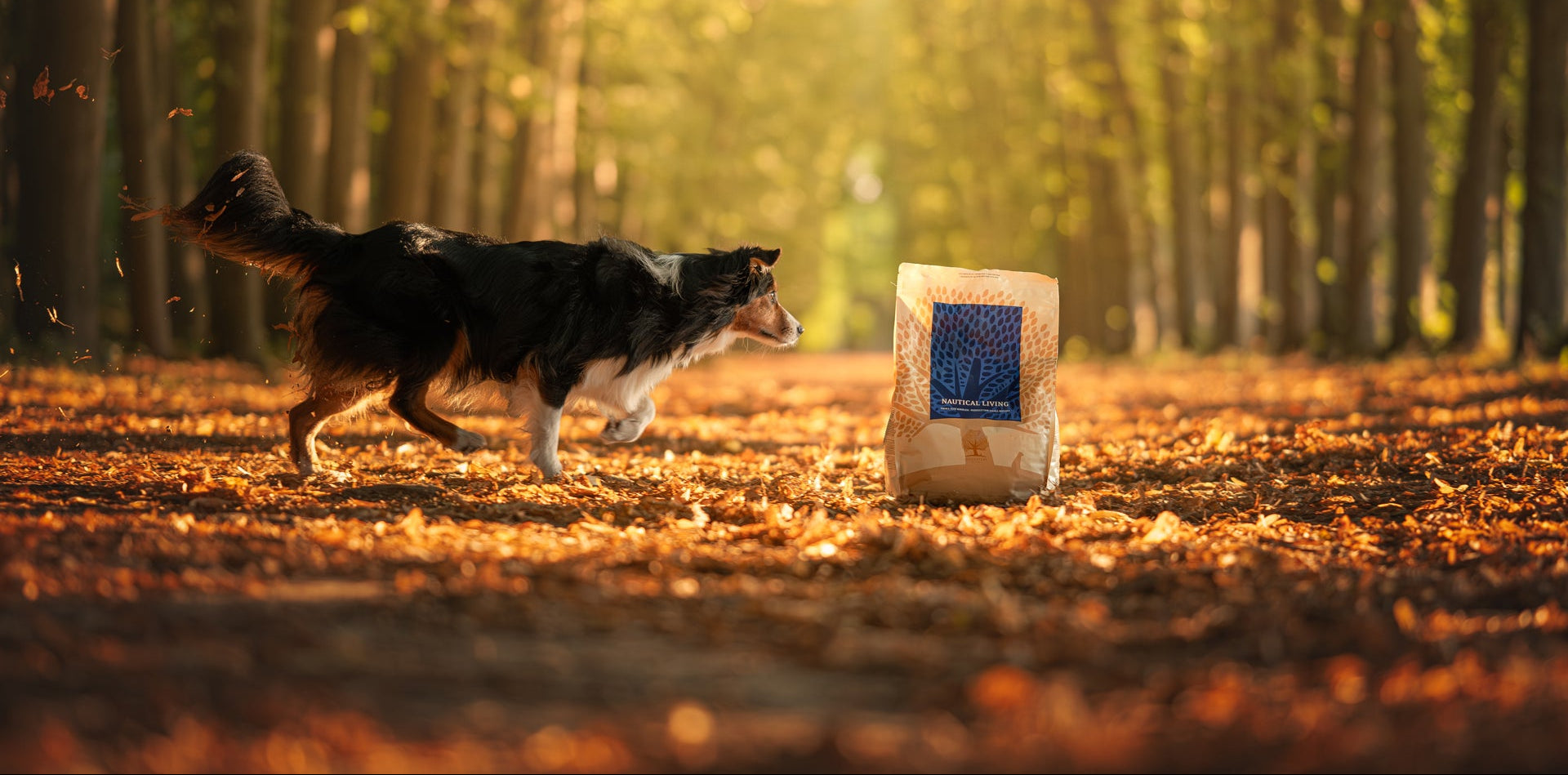 ESSENTIAL FOODS NAUTICAL LIVING – Grain‑Free Fish Dog Food