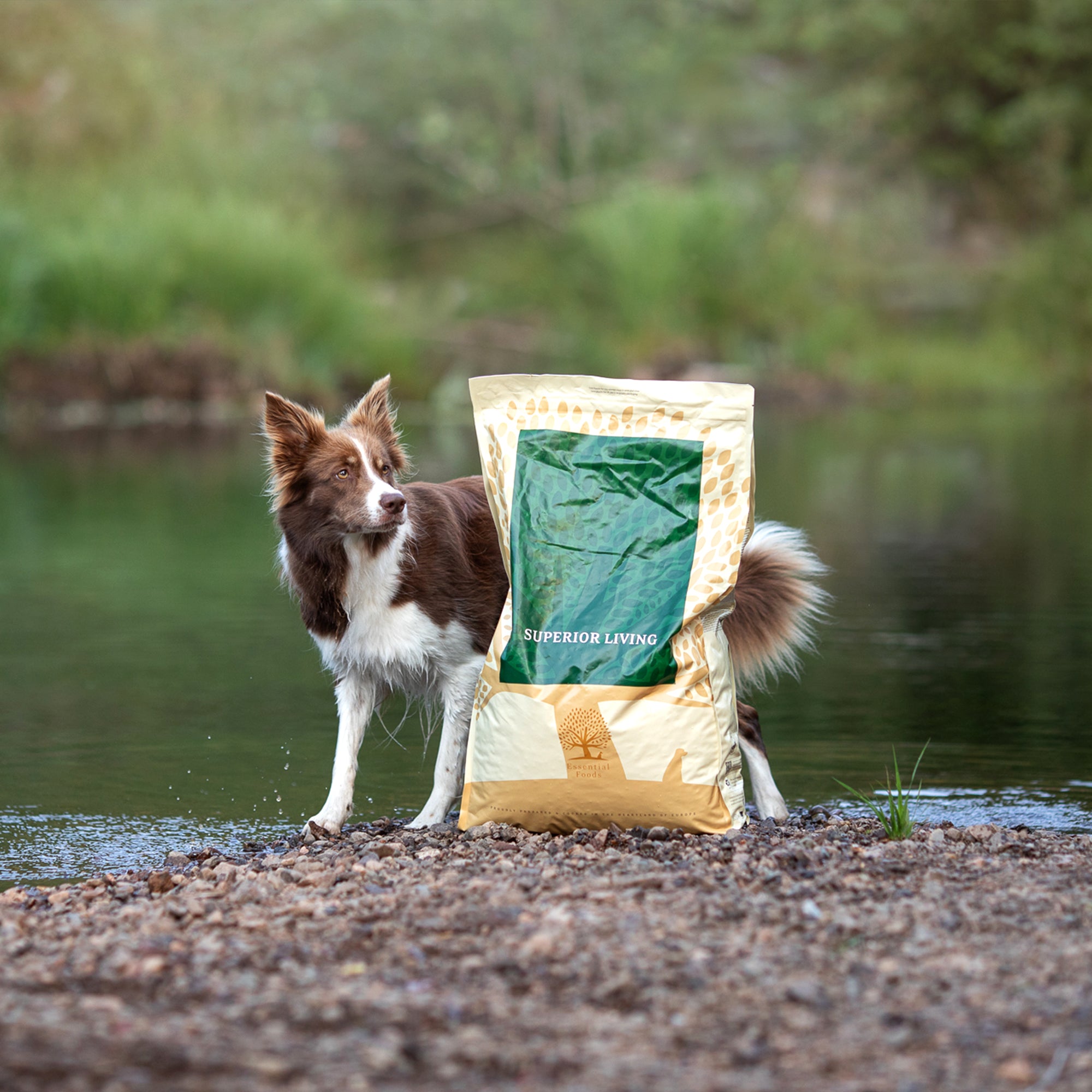 SUPERIOR LIVING, 10KG