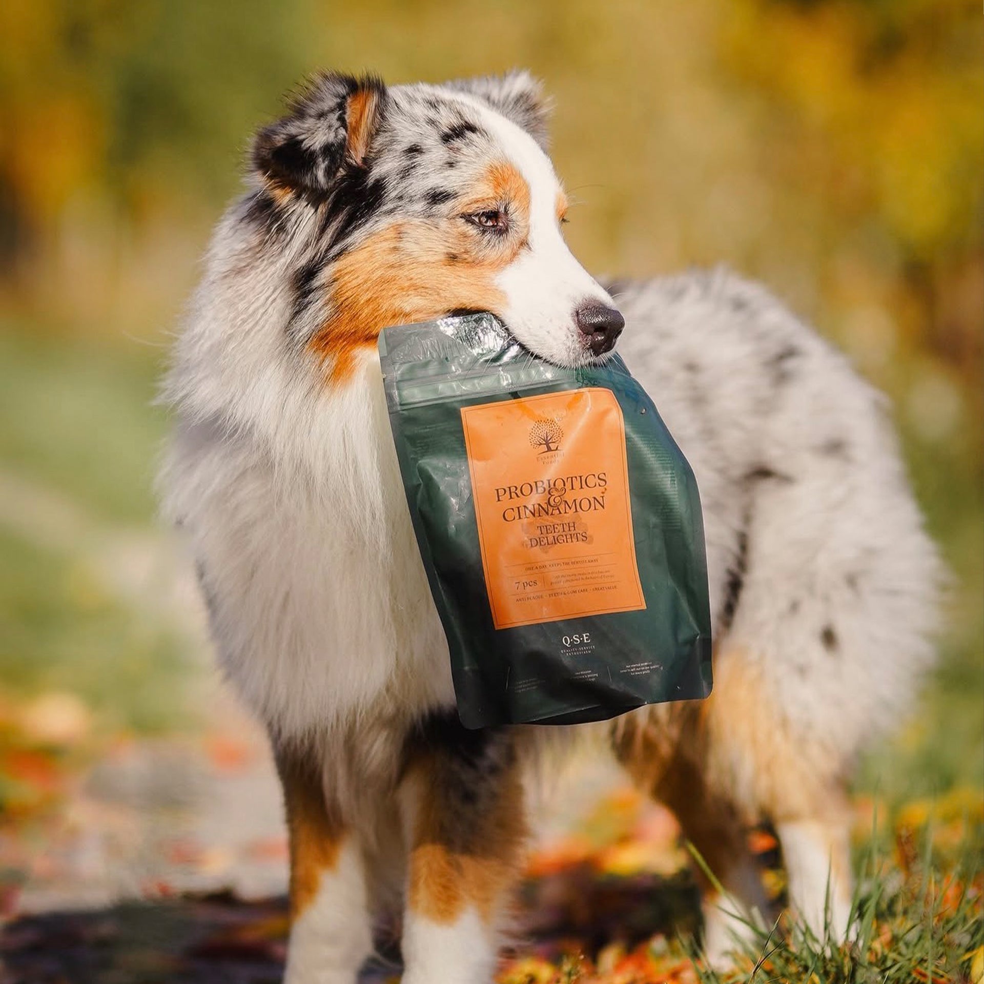 PROBIOTICS & CINNAMON TEETH DELIGHTS