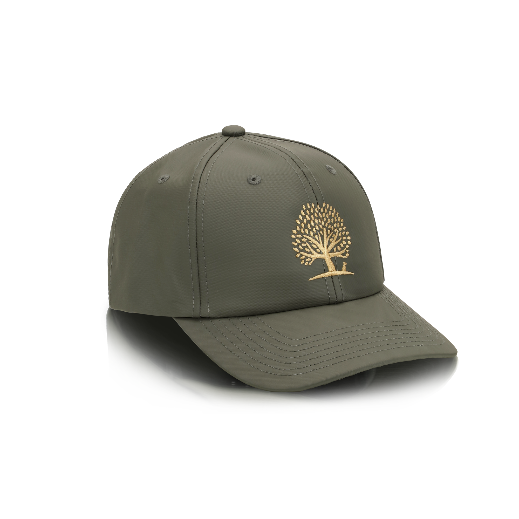 ESSENTIAL the CAP